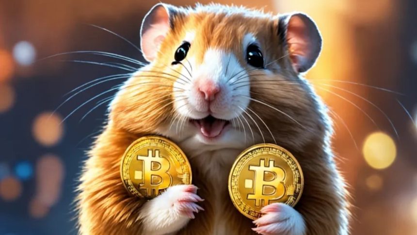 donde esta influencers en hamster kombat