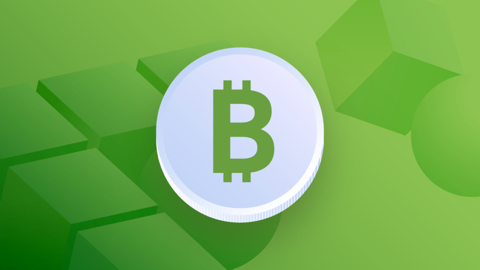 bitercash